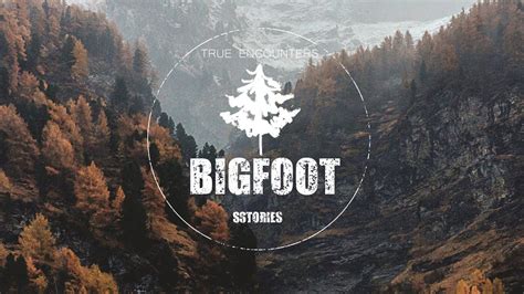 Bigfoot At The Army Base Sasquatch Encounters Youtube