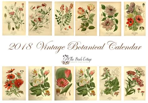 Vintage Botanical Botanical Art Book Letters Pop Up Book Miniature