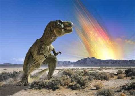 Adults can learn the basics too. Dinosaur Extinction | How did the dinosaurs die?