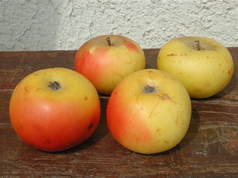 Une Variété De Pomme