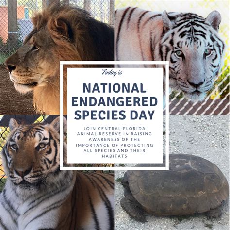 National Endangered Species Day 2019 Central Florida Animal Reserve