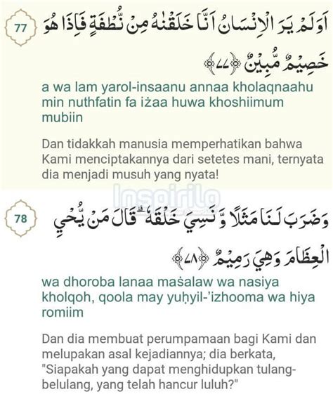 Delapan keutamaan surat yasin ini bikin orang indonesia. Bacaan Yasin Fadilah Latin - Bacaan Surat Yasin Fadilah Arab Dan Latin - Soal Tuntas / Anda juga ...