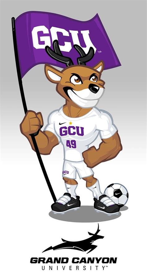 Usa University Mascots Mascot Design Mascot Character Design