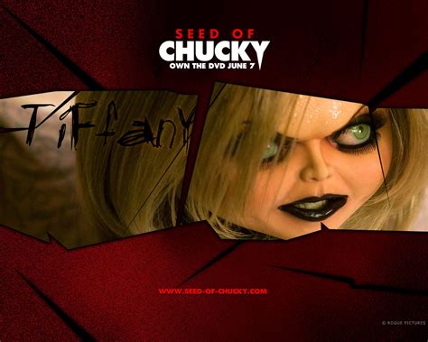 Seed Of Chucky Chucky Wallpaper 96729 Fanpop