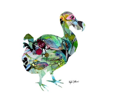 Dodo Bird Print Dodo Bird Dodo Art Bird Print Dodo Wall Art Dodo
