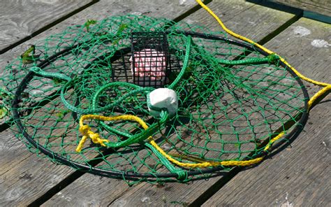 Essential Crabbing Equipment Checklist Resource Fisherman First