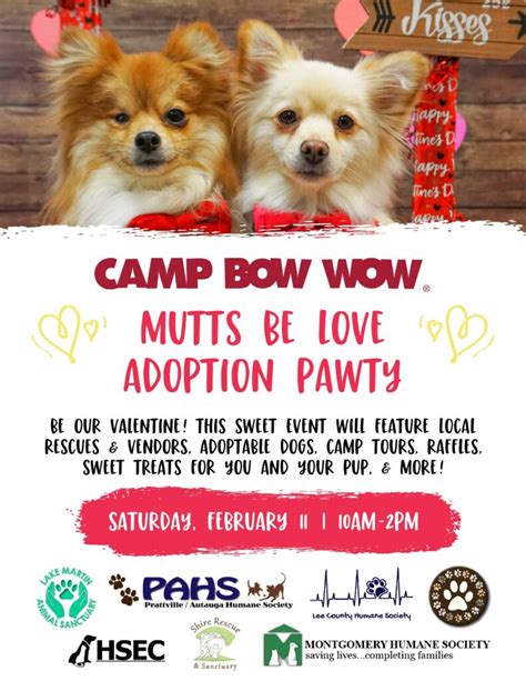 Camp Bow Wow Mutts Be Love Adoption Pawty Montgomery Humane Society