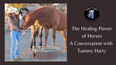 The Healing Power Of Horses A Conversation With Tammy Harty Of