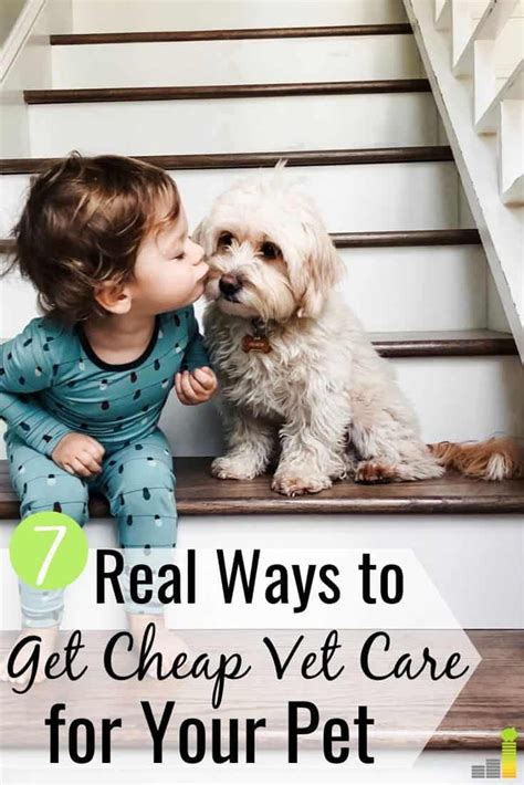 Get your pet the quality care that they need at a price you can afford. 7 Ways to Find Cheap Vet Care Near Me in 2020 | Vets, Pets ...