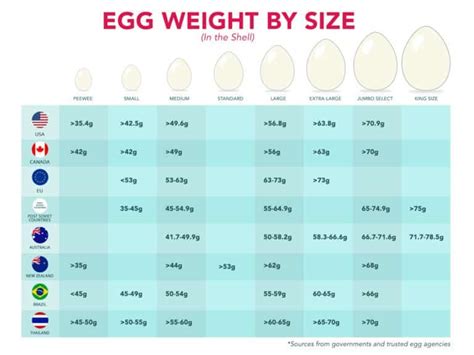 The Complete Guide To Different Egg Sizes Free Measurement Chart