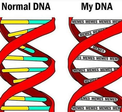 Its In All Of Our Dna Rmemes