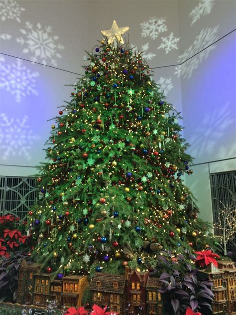 Maybe you would like to learn more about one of these? 11 Fun and Free Things to Do on a Washington DC Holiday Visit