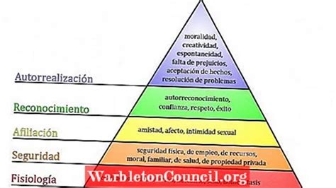 Piramida Lui Maslow Ierarhia Nevoilor Umane Psihologie 2024