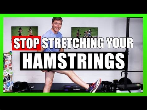 High Hamstring Tendinopathy Avoid These Exercises For A Fast