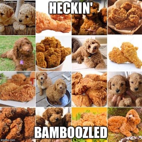 Heckin Bamboozled Imgflip