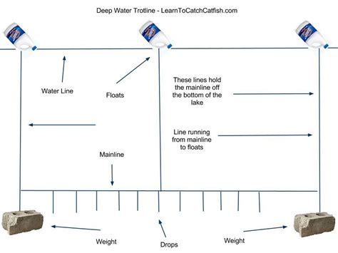 This is how i set my trot lines. Catching Catfish With A Trotline | How to catch catfish ...
