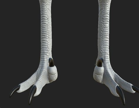 CoolioArt 3D Commissions Open On Twitter Secret Feet Paleoart