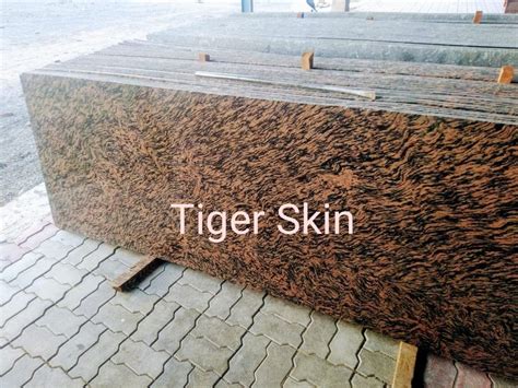 Tiger Skin Indian Granite Slab At Rs 21 Square Feet New Items In