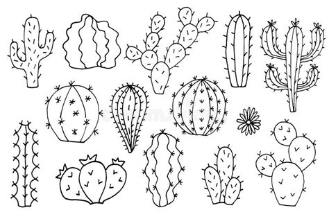 Cactus Vector Doodle Cartoon Hand Drawn Illustrations Stock