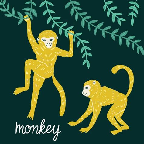 ᐈ Monkeys Wallpaper Stock Pictures Royalty Free Monkeys Wallpapers