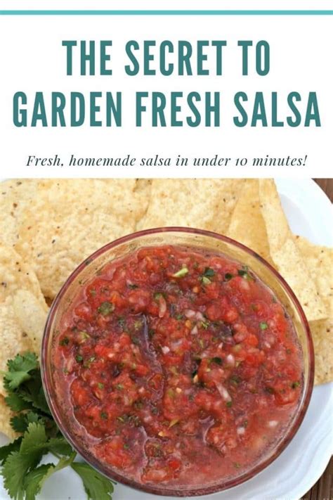 Garden Fresh Salsa With Fresh Tomatoes