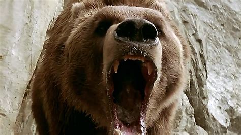 A medve (1988) | Teljes filmadatlap | Mafab.hu