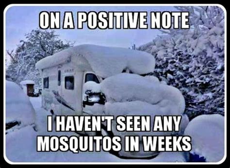 On A Positive Note I Havent Seen Any Mosquitos Is Weeks Winter Meme