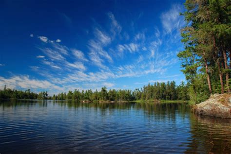 Wilderness Lake And Summer Skies Stock Photo Download Image Now Istock