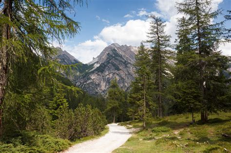 Hiking Trail In Italy Alps Stock Photo Image Of Scenic 99016152