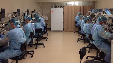 Surgical Dissection Lab Rental Emory Department Of Otolaryngology