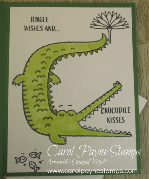 Most ohio grocery stores accept the ohio direction card. Carol Payne Stamps: Stampin' Up! Oh Snap for Jaxon!
