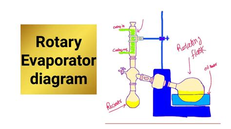 13 Rotary Evaporator Principle And Application