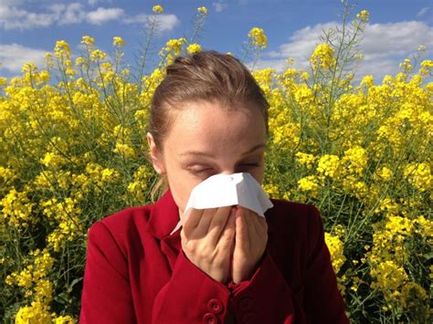 Environmental Allergies Symptoms Causes And Treatment
