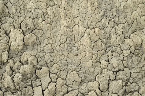 Dried Mud Texture One Stock Photo Image Of Resolution 53695696
