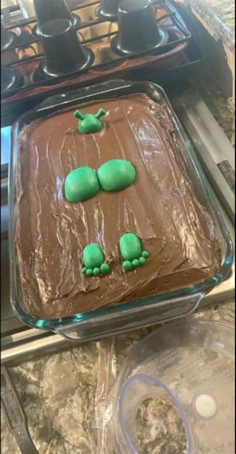 Shrek Cake 9gag