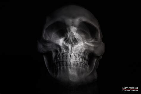 Facing Froward Human Skull Multiple Exposures Captured Usi Flickr