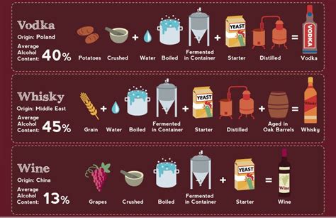 Neat Infographic Shows How Alcoholic Beverages Are Made Around The