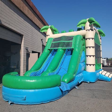 Wet Dry Dual Use Double Lane Bounce House Combo With Slide For Sale