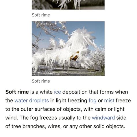 Rime Ice Or Hoar Frost