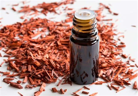 Hãy dành sự tôn trọng lớn phía btc euro 2020 cũng đã xác nhận thông tin này trên twitter. Sandalwood Essential Oil là gì? Công dụng tinh dầu đàn hương