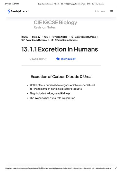 Excretion In Humans Cie Igcse Biology Revision Notes Save