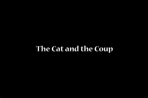 review the cat and the coup ava s game dev journey