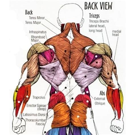What You Cant See In The Mirror Can Hurt You 7 Most Common Back