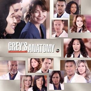 Greys Anatomy A Anatomia de Grey 10ª Temporada Completa 2013