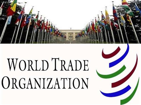 paid internship at world trade organization geneva oya opportunities