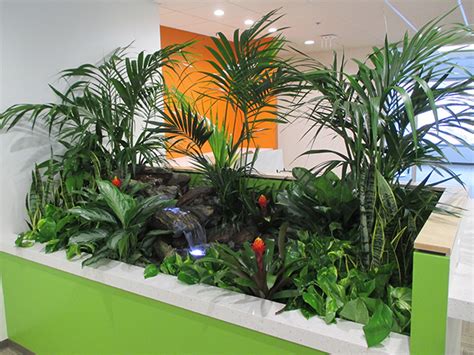 Tropical Stream Interior Landscape Project Unique Plant Rentals