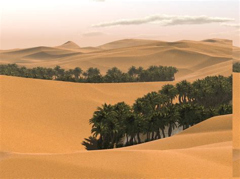Touristsparadise Sahara Desert