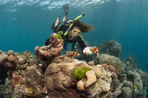 Hitting The Water Scuba Diving On The Great Barrier Reef Cairns