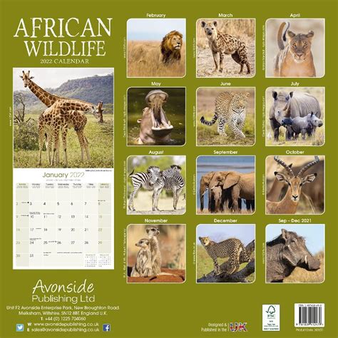 Kalender 2022 African Wildlife Afrikanische Tiere Zoo Roco