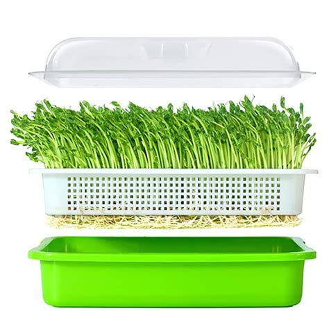 Top 10 Best Seed Sprouter Trays In 2021 Reviews Buying Guide